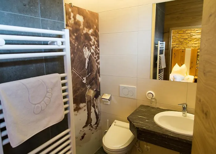 Alpenfex Apartment Flachau