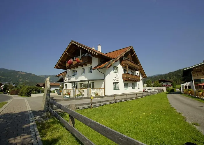 Alpenfex * פלאכאו